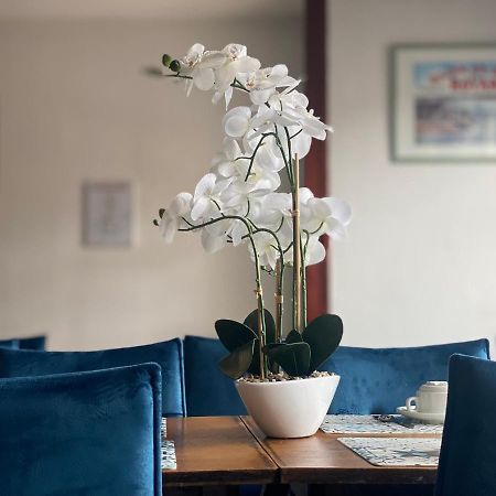 Hotel Le Pasteur Royan Zewnętrze zdjęcie